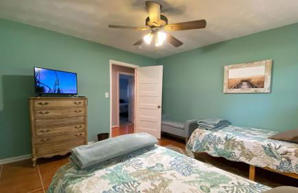 Cuddlefish - Foto 21