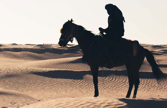 Passeio a cavalo pela costa de Sharm el-Sheikh - Foto 6