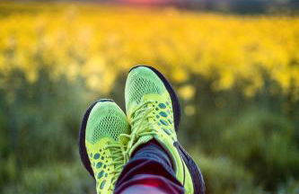 Natur Hof Fehmarn - Foto 41