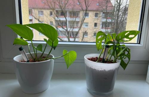 Ferienwohnung Waldstadt - Foto 16