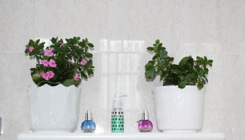 Apartamento Rural Oizalde - Foto 3