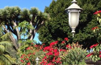 Holiday Home Finca Los Vinedos by Interhome - Foto 22