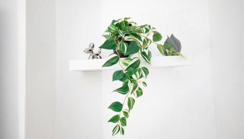 3 BR- King size bed, Netflix, Garden FREE Parking - Foto 4