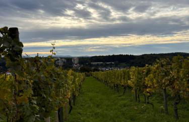 Weinberg Lounge - Foto 28