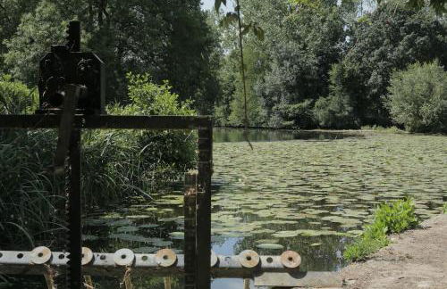 La Demoiselle de Bohardy - Photo 24