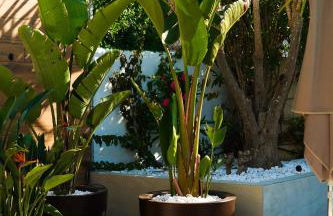 Apartamentos Typic Oasis Sa Tanca - Foto 98