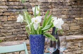 Bright & Beautiful Open Plan Coach House Painswick - Foto 39