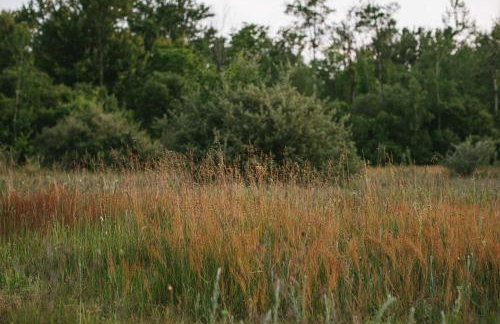 Bay Point Hideaway in the Woods - Foto 47