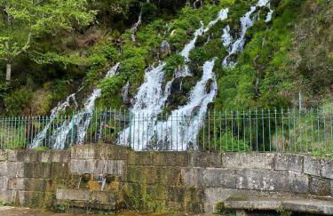 Dona Irene AL - Foto 26