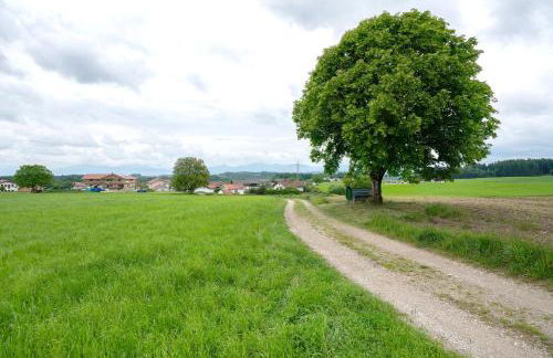 Neubau - Ferienwohnung Waldblick - Foto 28