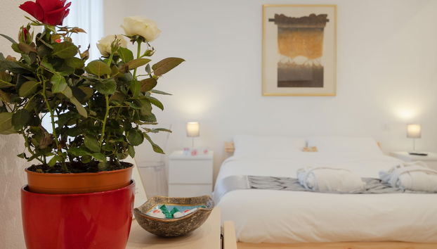 Vistas desde la habitación