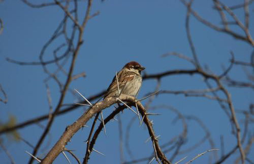Vista Baglio Grande - Foto 38