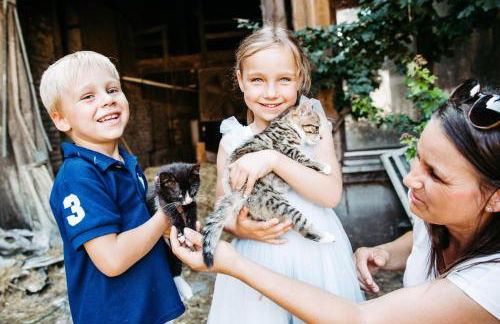 Ferienwohnung Liselotte - Foto 18