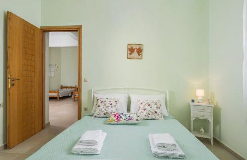 OLIVE BREEZE - Photo 12
