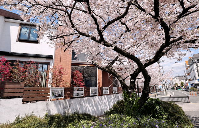 Danro no yado Concept House Hoshida - Foto 44