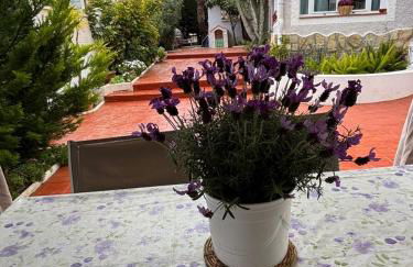 Villa Aleksandra - Foto 69