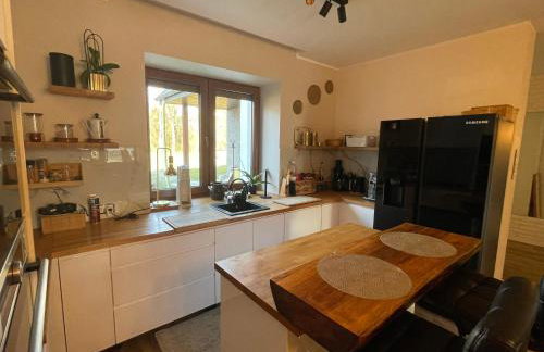 Siedlisko Mokra - Leśniczówka pod Jaworem - Foto 11