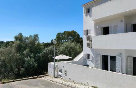 EstrelasDourada ALVOR Limoeiro - Foto 72