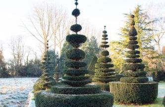 CRESSY HALL - Historic Grade II Listed Manor, Gorgeous Topiary Garden - Foto 7