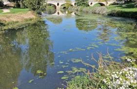 Studio 2 pers aux inspirations 60s - Foto 18