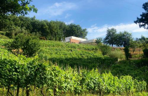 Villa Olympia Pool Sea View Mountains Lake Nature Sleeps 8 Air Conditioning Wi-Fi - Foto 31