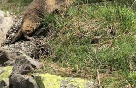 Appartement avec vue montagne - Foto 40