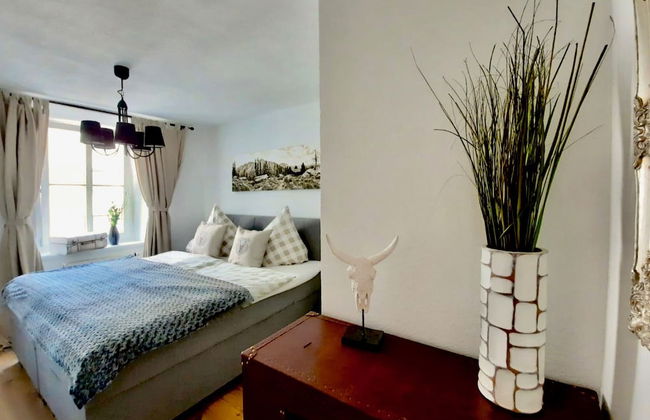 Belle Kitz Pure - Foto 4