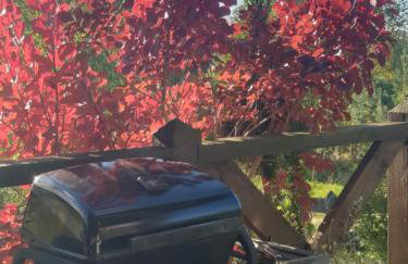 Siedlisko pod Aniołem - Foto 9