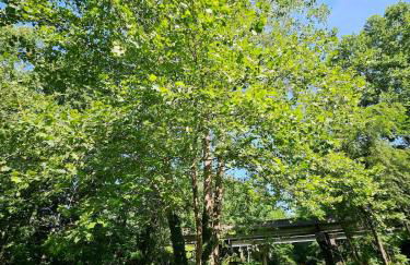 Life's Good Creek Side Retreat - Foto 26