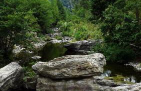 Mas Els Terrats - Foto 114