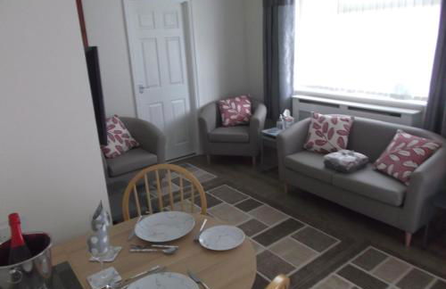 Sea Shells - Foto 15