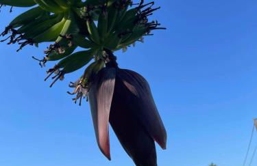 Casa da Ponte do Porto - Foto 76