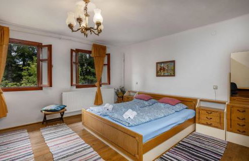 Gorgeous Home In Ravna Gora With Wifi - Foto 4