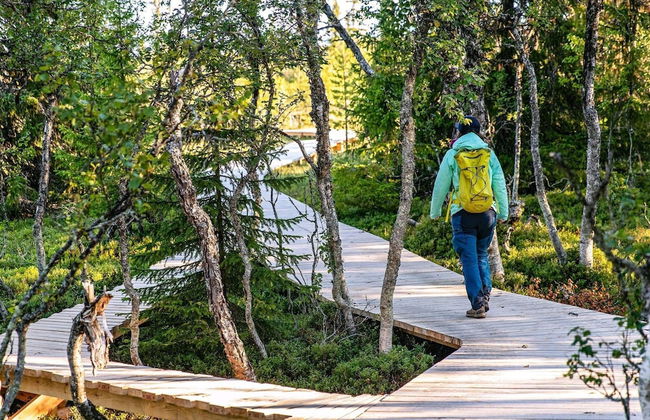 8 Person Holiday Home in Lofsdalen - Foto 21