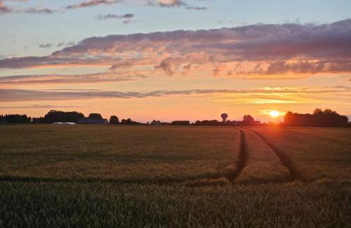 Entre ciel et mer - Photo 21