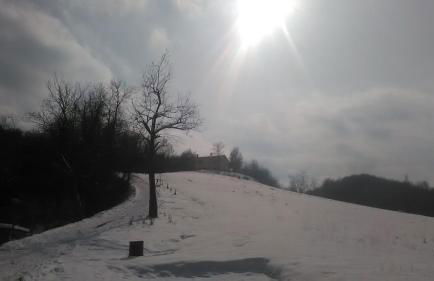 Il Gelso Rosso - Foto 8