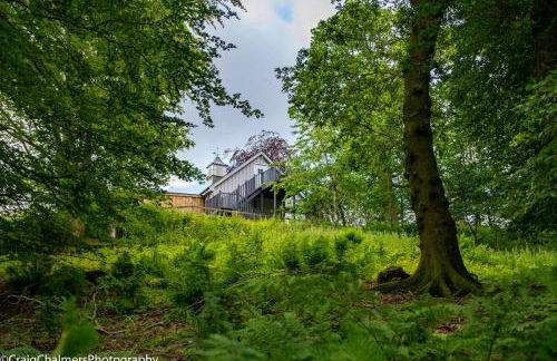 Modern and Stylish WoodHous - Photo 7