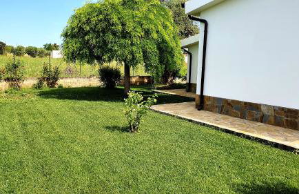 Villa Leone - Photo 32