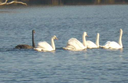 Au clos du pont, appartement relax - Foto 27