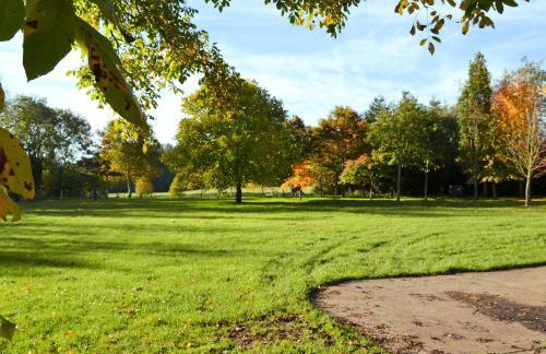 The Ashes - Photo 16