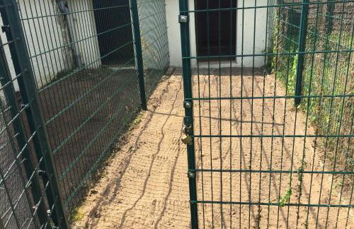 Ferienwohnung Neustrelitz - Foto 17