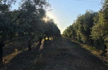 Finca El Palmar - Foto 18