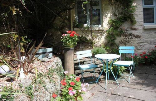 The Little Acorn - Photo 2