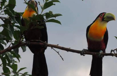 Reserva Mauá chalés - Photo 7