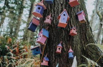 Perch - Ellie's Secret Cabin - Foto 68