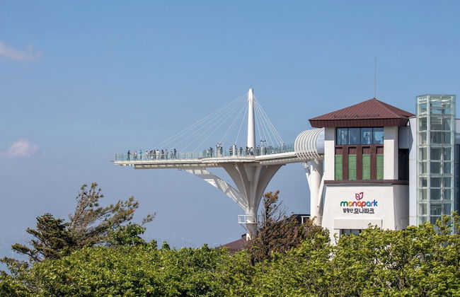 Mona Yongpyong Tower Condominium - Photo 51