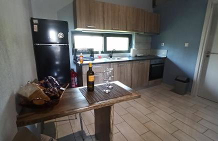 Sasa's Family House Potidea - Foto 11