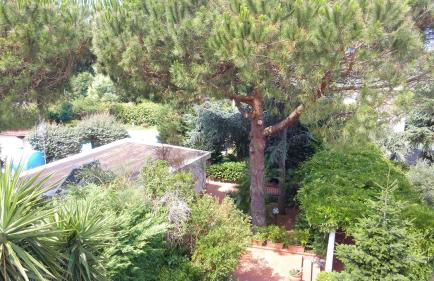 Resort Siranita - Foto 11