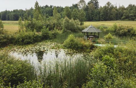 Chatka w lesie - Foto 25