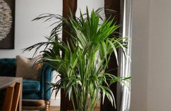 Grange Bridge Cottage - Foto 25